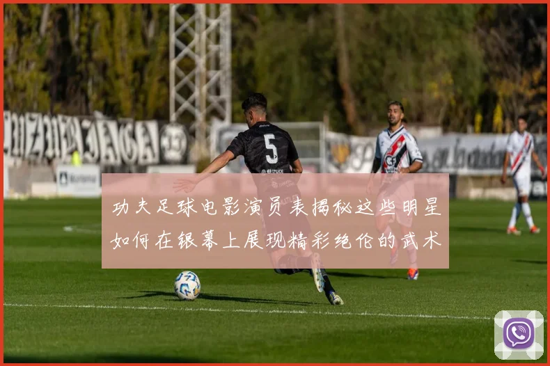 功夫足球电影演员表揭秘这些明星如何在银幕上展现精彩绝伦的武术与足球结合的魅力